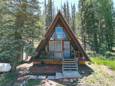 274 Midland Road Florissant CO 80816