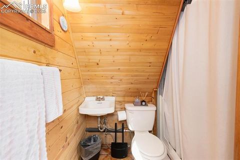 Tiny photo for 274 Midland Road, Florissant, CO 80816 (MLS # 6123053)