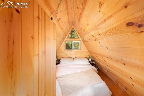 Tiny photo for 274 Midland Road, Florissant, CO 80816 (MLS # 6123053)