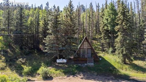 Tiny photo for 274 Midland Road, Florissant, CO 80816 (MLS # 6123053)