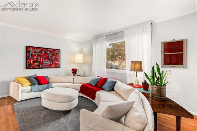 919 Dirksland Street