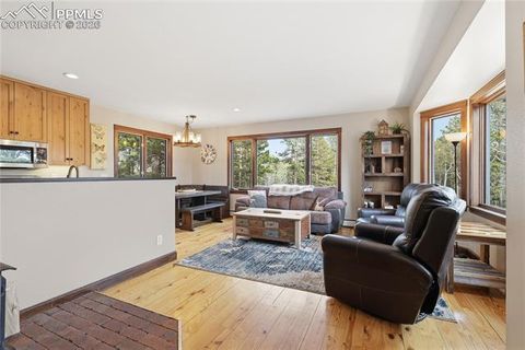 Tiny photo for 57 Trout Creek Circle, Divide, CO 80814 (MLS # 7285425)