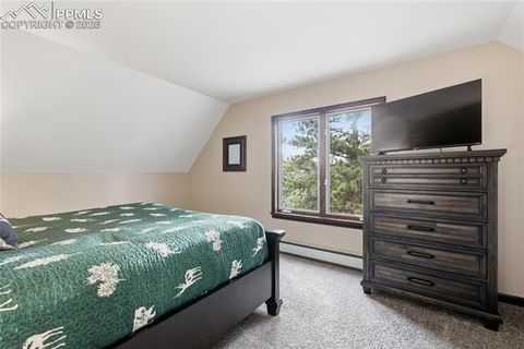 Tiny photo for 57 Trout Creek Circle, Divide, CO 80814 (MLS # 7285425)