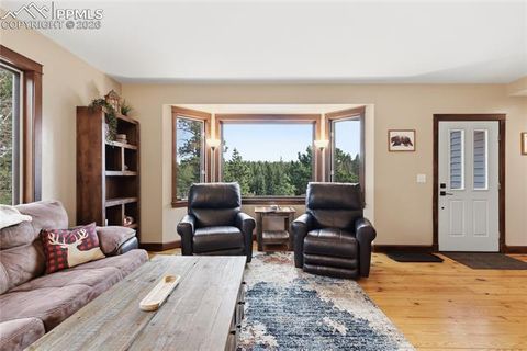 Tiny photo for 57 Trout Creek Circle, Divide, CO 80814 (MLS # 7285425)