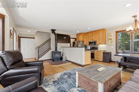 Tiny photo for 57 Trout Creek Circle, Divide, CO 80814 (MLS # 7285425)