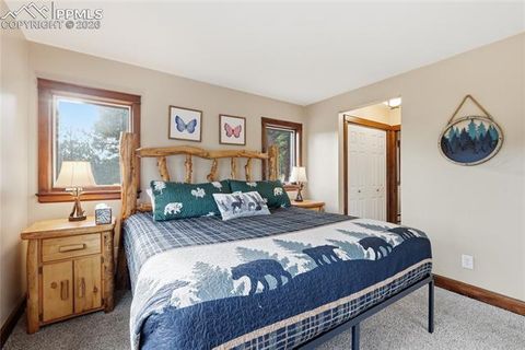 Tiny photo for 57 Trout Creek Circle, Divide, CO 80814 (MLS # 7285425)