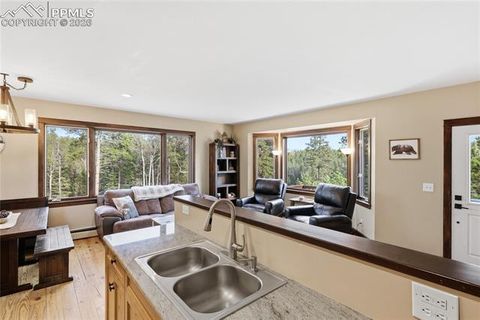 Tiny photo for 57 Trout Creek Circle, Divide, CO 80814 (MLS # 7285425)