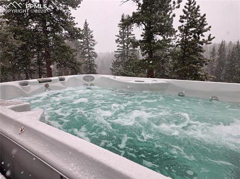 Tiny photo for 57 Trout Creek Circle, Divide, CO 80814 (MLS # 7285425)