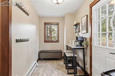 Tiny photo for 57 Trout Creek Circle, Divide, CO 80814 (MLS # 7285425)