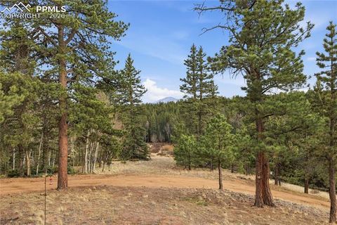 Tiny photo for 57 Trout Creek Circle, Divide, CO 80814 (MLS # 7285425)