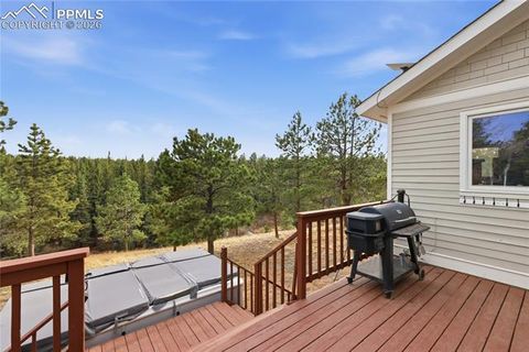 Tiny photo for 57 Trout Creek Circle, Divide, CO 80814 (MLS # 7285425)