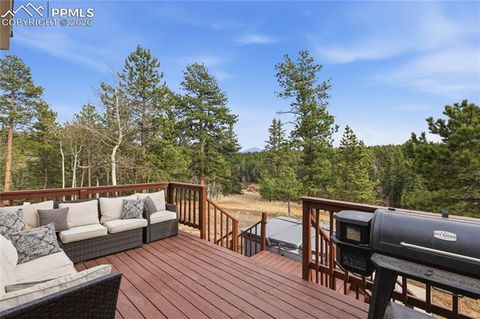 Tiny photo for 57 Trout Creek Circle, Divide, CO 80814 (MLS # 7285425)