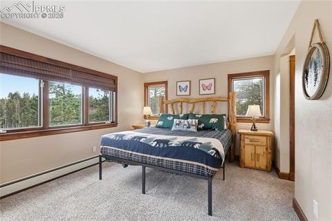 Tiny photo for 57 Trout Creek Circle, Divide, CO 80814 (MLS # 7285425)