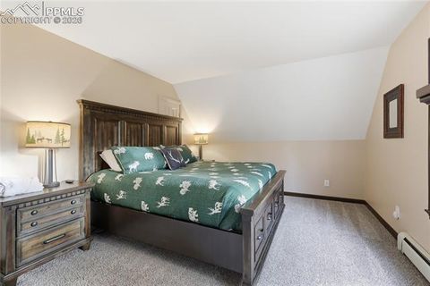 Tiny photo for 57 Trout Creek Circle, Divide, CO 80814 (MLS # 7285425)