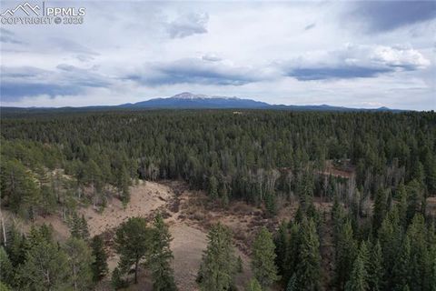Tiny photo for 57 Trout Creek Circle, Divide, CO 80814 (MLS # 7285425)