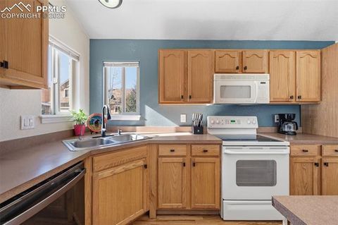 Tiny photo for 1755 Columbine Village Drive, Woodland Park, CO 80863 (MLS # 7027983)