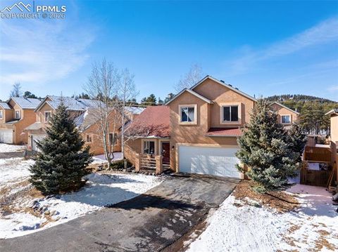 Tiny photo for 1755 Columbine Village Drive, Woodland Park, CO 80863 (MLS # 7027983)