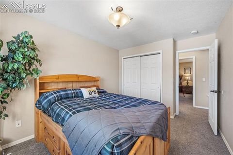 Tiny photo for 1755 Columbine Village Drive, Woodland Park, CO 80863 (MLS # 7027983)