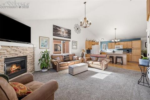 Tiny photo for 1755 Columbine Village Drive, Woodland Park, CO 80863 (MLS # 7027983)