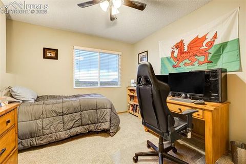 Tiny photo for 4690 Falls Church Road, Colorado Springs, CO 80920 (MLS # 3415618)