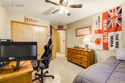Tiny photo for 4690 Falls Church Road, Colorado Springs, CO 80920 (MLS # 3415618)