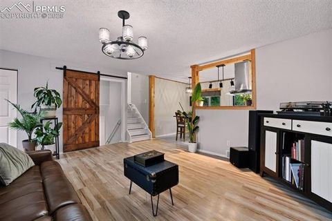 Tiny photo for 1065 N 19th Street, Colorado Springs, CO 80904 (MLS # 7977586)