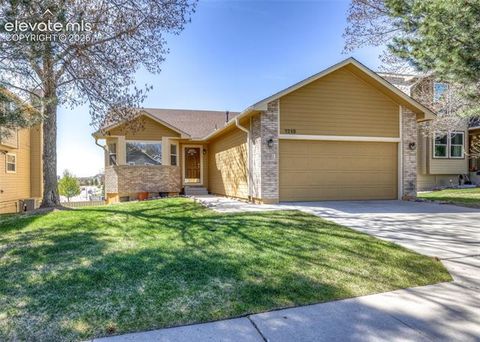 Photo of 1215 Bison Ridge Drive, Colorado Springs, CO 80919 (MLS # 9122608)