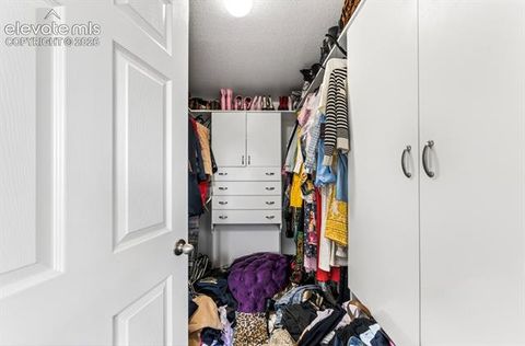 Tiny photo for 6390 Tranters Creek Way, Colorado Springs, CO 80925 (MLS # 6172562)