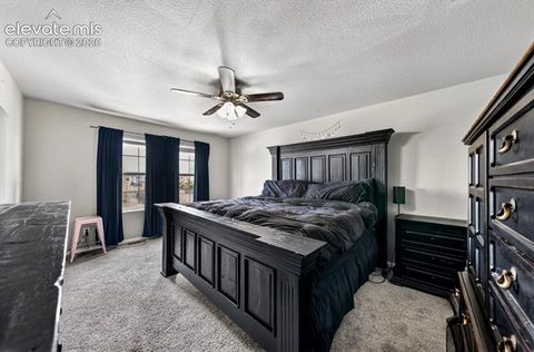 Tiny photo for 6390 Tranters Creek Way, Colorado Springs, CO 80925 (MLS # 6172562)