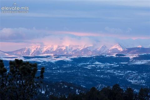 Tiny photo for 131 Paradiso Road, Divide, CO 80814 (MLS # 2504860)