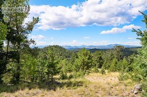 Tiny photo for 131 Paradiso Road, Divide, CO 80814 (MLS # 2504860)