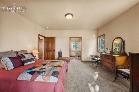 Tiny photo for 131 Paradiso Road, Divide, CO 80814 (MLS # 2504860)