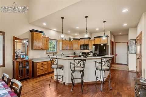 Tiny photo for 131 Paradiso Road, Divide, CO 80814 (MLS # 2504860)