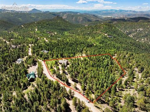 Tiny photo for 131 Paradiso Road, Divide, CO 80814 (MLS # 2504860)