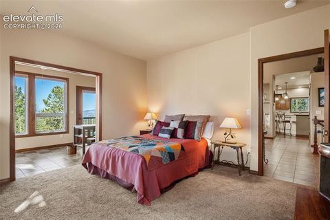 Tiny photo for 131 Paradiso Road, Divide, CO 80814 (MLS # 2504860)