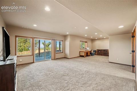Tiny photo for 131 Paradiso Road, Divide, CO 80814 (MLS # 2504860)