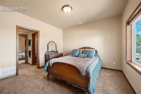 Tiny photo for 131 Paradiso Road, Divide, CO 80814 (MLS # 2504860)