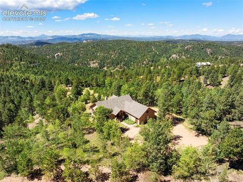 Tiny photo for 131 Paradiso Road, Divide, CO 80814 (MLS # 2504860)
