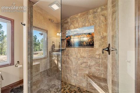 Tiny photo for 131 Paradiso Road, Divide, CO 80814 (MLS # 2504860)