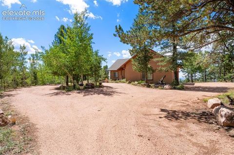 Tiny photo for 131 Paradiso Road, Divide, CO 80814 (MLS # 2504860)