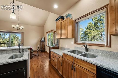 Tiny photo for 131 Paradiso Road, Divide, CO 80814 (MLS # 2504860)