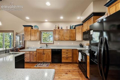Tiny photo for 131 Paradiso Road, Divide, CO 80814 (MLS # 2504860)