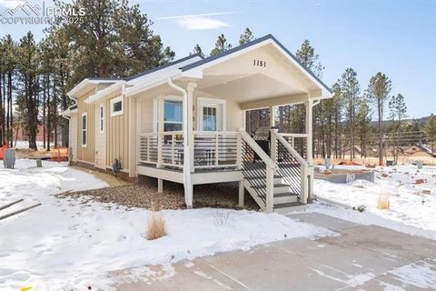 Tiny photo for 1151 Calm Mountain Point #Lot 6, Woodland Park, CO 80863 (MLS # 6959747)