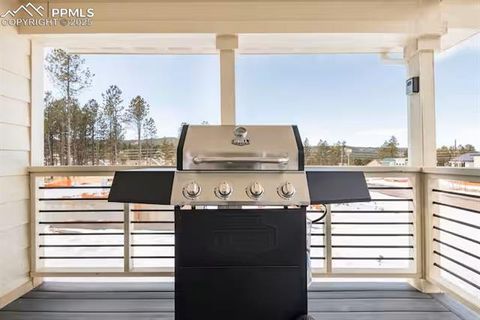 Tiny photo for 1151 Calm Mountain Point #Lot 6, Woodland Park, CO 80863 (MLS # 6959747)