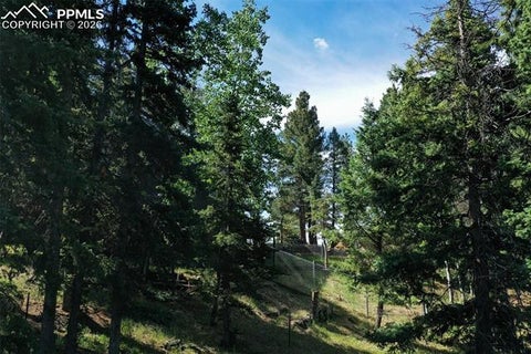 Tiny photo for 377 Ridge Road, Divide, CO 80814 (MLS # 6353779)