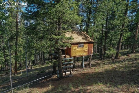 Tiny photo for 377 Ridge Road, Divide, CO 80814 (MLS # 6353779)