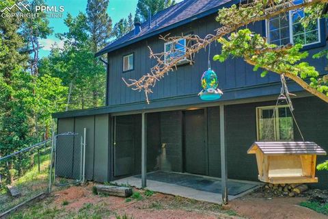 Tiny photo for 377 Ridge Road, Divide, CO 80814 (MLS # 6353779)
