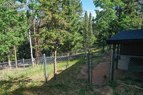 Tiny photo for 377 Ridge Road, Divide, CO 80814 (MLS # 6353779)