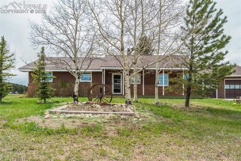 Photo of 65 Yeoman Lane, Divide, CO 80814 (MLS # 1052090)