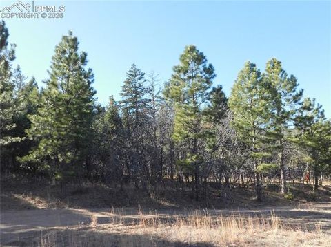 Photo of 6294 Troon Court, Larkspur, CO 80118 (MLS # 6600780)